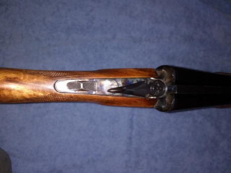 Paralela aramberri compac calibre 20-76. Monogatillo, expulsora, banda alta, delantera cola de castor. 21