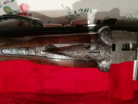 VENDO ESCOPETA PARALELA DE LA MARCA GAMBA GARDONE MODELO. SAN VICENTE ESCUDO DE ORO.

CARACTERISTICAS: 00