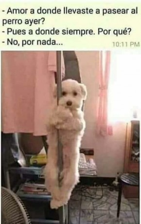 Con lo dado que somos los españoles a los chistes y que en este foro no se vean  :shock:  :shock:  :shock: 70