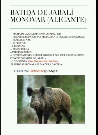 Hola compañeros, me gustaria saber si sabeis de monterias en la CV y que tal se dan, yo en esto soy novato 100