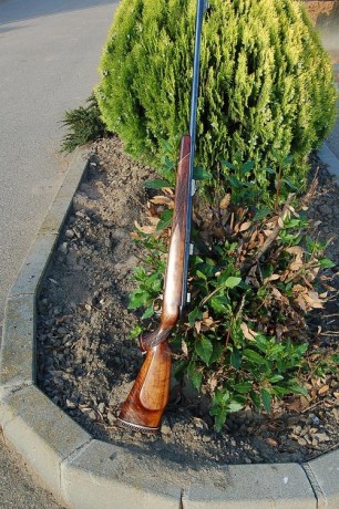 Cambio por rifle monotiro. O semiautomático  en 243 o 6,5x57 o 270  FE82BDE3-419A-465D-93C2-C27EDFF73CCB.jpeg 01