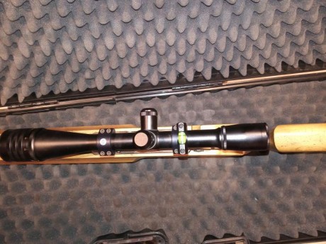 Vendo magnifica carabina Anchutz modelo 2007/2013,calibre 22LR, con accesorios, y maletín Walther, la 41
