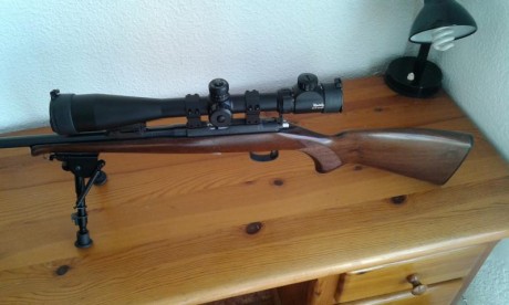 Hola vendo carabina marca CZ, modelo 452 calibre 22  con bipode y visor  de 10-40x50, todo muy nuevo, 02
