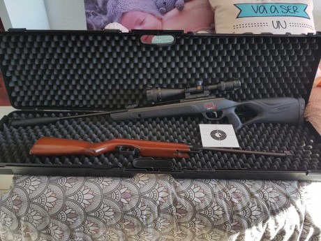 Hola vendo carabina Gamo G-magum 1250 whisper IGT  5,5mm,Esta impoluta, comprada el 26-12-2018 Y 50/60 00