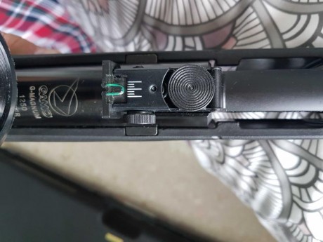 Hola vendo carabina Gamo G-magum 1250 whisper IGT  5,5mm,Esta impoluta, comprada el 26-12-2018 Y 50/60 10