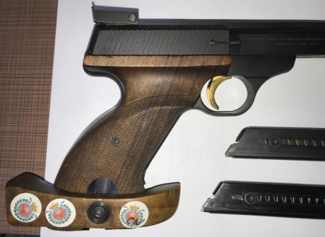 Hola y gracias por leer este anuncio.

Pongo a la venta una pistola Browning .22LR.

Tiene 2 cargadores 01