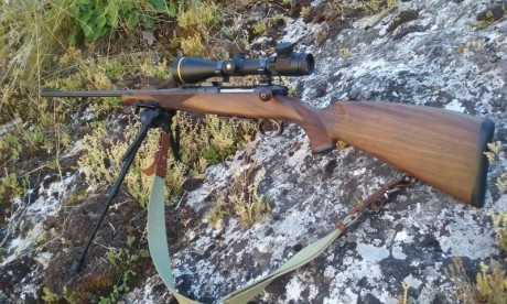 Hablando del tema para el compañero que quiere comprar un rifle para sus clientes que vengan sin arma 60