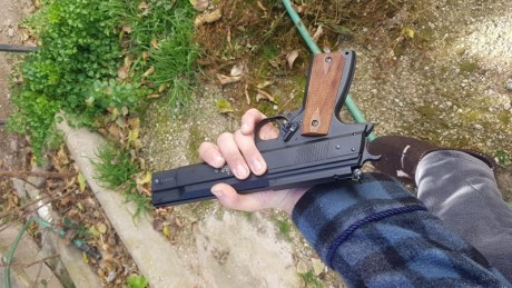 hola pues la compre ayer y hoy he estado tirando con los gamo match y agrupan pero muy penosamente... 01