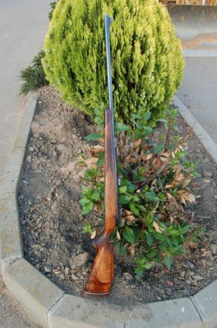 Cambio por rifle monotiro. O semiautomático  en 243 o 6,5x57 o 270  FE82BDE3-419A-465D-93C2-C27EDFF73CCB.jpeg 11