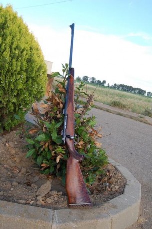 Cambio por rifle monotiro. O semiautomático  en 243 o 6,5x57 o 270  FE82BDE3-419A-465D-93C2-C27EDFF73CCB.jpeg 10