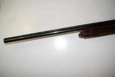 Vendo escopeta FABARM semiautomatica calibre 12. Madrid.
¡¡¡¡REBAJADA!!!!

Precio: 110€

 DSC04923.JPG 00