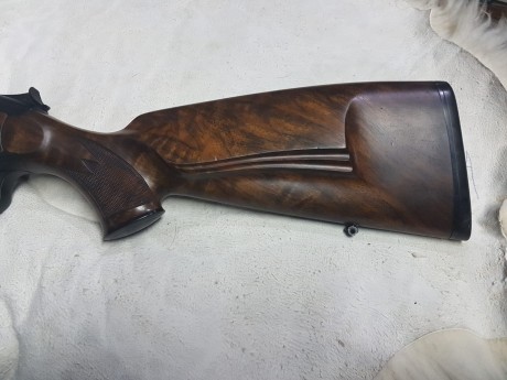 Se compra blaser r93 professional y r8 professional . En  calibre 270w principalmente. se escuchan ofertas. 162