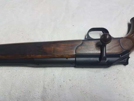 Se compra blaser r93 professional y r8 professional . En  calibre 270w principalmente. se escuchan ofertas. 161