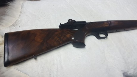 Se compra blaser r93 professional y r8 professional . En  calibre 270w principalmente. se escuchan ofertas. 160