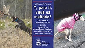 https://www.lavanguardia.com/natural/heroes-villanos/20190128/4652010906/muere-cazador-ahogado-rescate-perros-huesca.html 110