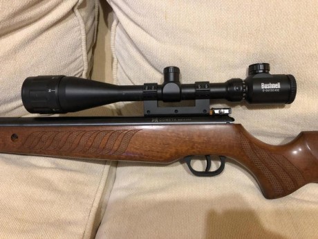 Vendo cometa fusion cal 5,5 con visor Bushnell y funda , sin apenas uso , por 150 €
Vendida 01