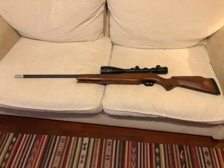 Vendo cometa fusion cal 5,5 con visor Bushnell y funda , sin apenas uso , por 150 €
Vendida 00