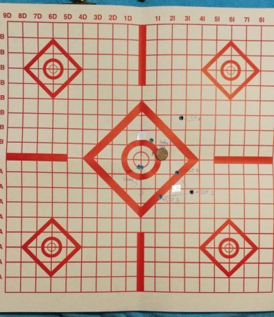 ¿Nos animamos a mostrar blancos de nuestros rifles de caza habituales? Con la munición que habitualmente 40