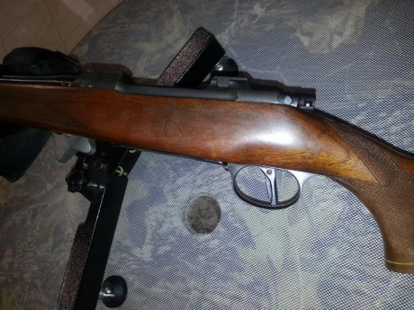 Perfecto de maderas,pavón y mecanismos.Muy poco usado.Se cambia por rifle(no militar)en calibre superior 11