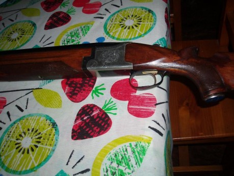 Vendo escopeta Laurona de TRAP de 76 cm de cañon y de dos y una  ** -* en muy buen estado,ideal para iniciarse 01