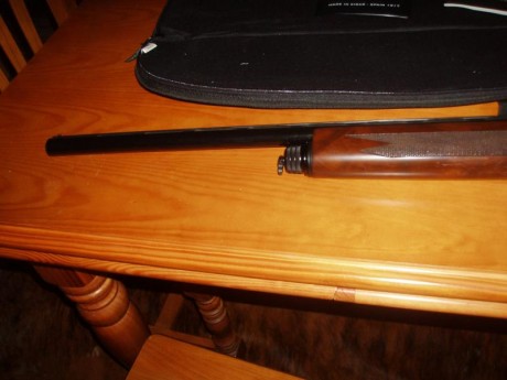 Se vende escopeta semiautomatica Gardone , solo mtiro 100 tiros tiene 5 polichoques, funda,libro y manual, 00