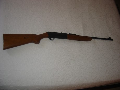 Hola a todos:
Recientemente he adquirido mediante subasta una Carabina Franchi del 22Lr y no poseo el 02