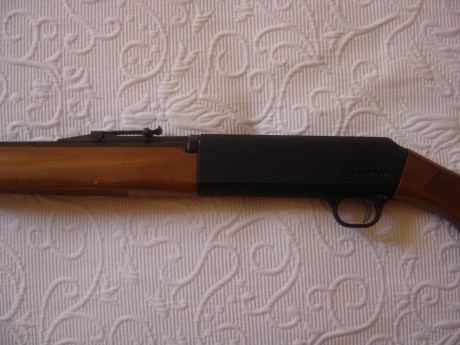 Hola a todos:
Recientemente he adquirido mediante subasta una Carabina Franchi del 22Lr y no poseo el 00
