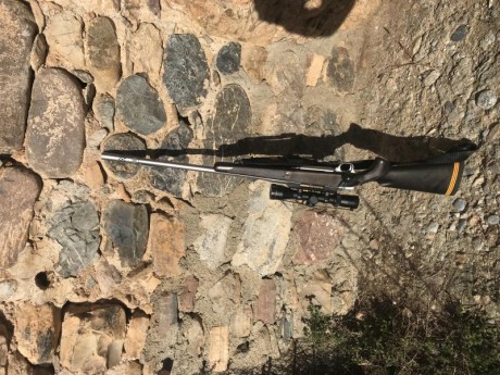 Se vende rifle, browning a-bolt stainles steel (inoxidable) calibre 375 h&h, cerrojo a 60 grados, 12