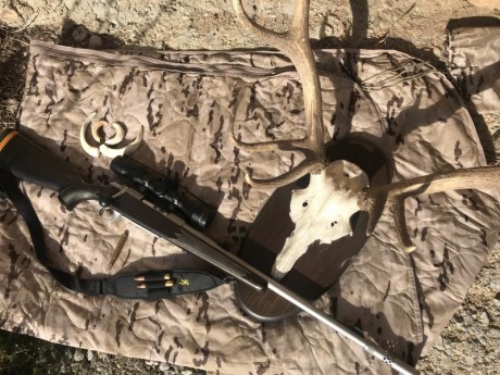 Se vende rifle, browning a-bolt stainles steel (inoxidable) calibre 375 h&h, cerrojo a 60 grados, 10