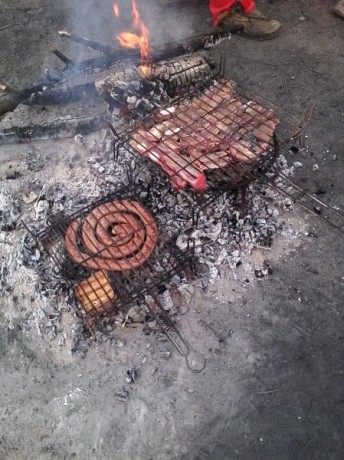 Copio las norma de años anteriores,

LOS ALMUERZOS DE CAZA MENOR NO CUENTAN Y LOS ABATES SIN FOTO TAMPOCO

Voy 50