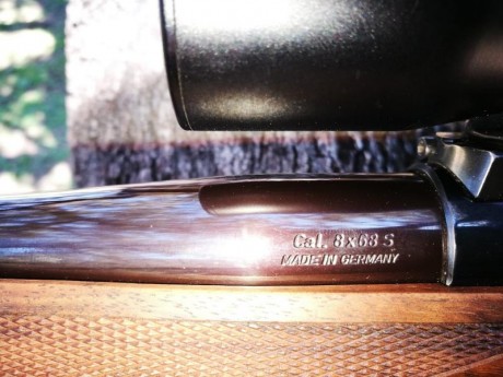 Vendo rifle sauer 90 modelo advantage en calibre 8x68S. Ya no se fabrica.
El rifle fue de los últimos 11