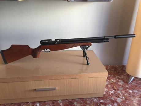 Hola a todos:
Se vende carabina Air Arms S500 xtra fac de calibre 5,5, la carabina esta en perfectas condiciones 00