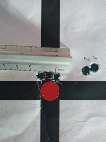 ¿Nos animamos a mostrar blancos de nuestros rifles de caza habituales? Con la munición que habitualmente 140