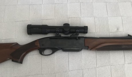 Hola compañeros necesito vender un semiautomático remington modelo 750 en calibre 35 whelen con apel y 00