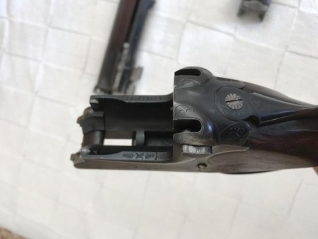 Hola compañeros necesito vender un semiautomático remington modelo 750 en calibre 35 whelen con apel y 11