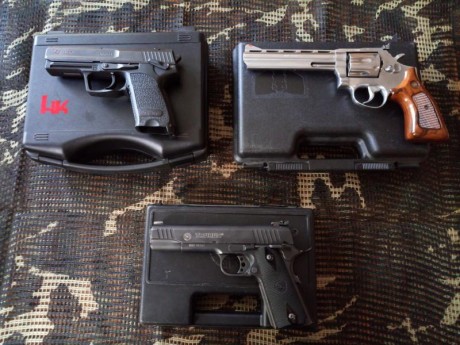 Como dice el título del anuncio vacío mi armero.
Se ponen a la venta las siguientes armas:

 REVOLVER 00