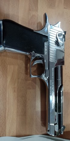 Buenos dias, me estoy planteando pedir a los Reyes Magos una Desert Eagle, a  poder ser la version inox. 10