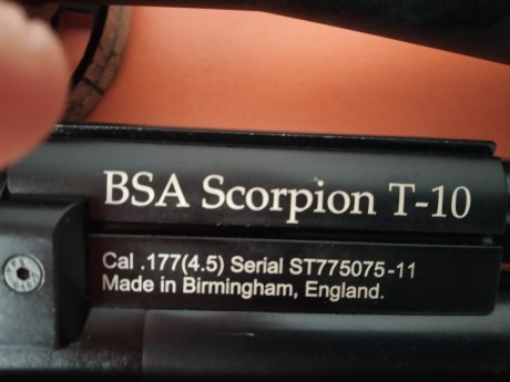 vendo carabina bsa modelo scorpion tactical t 10.  con dos cargadores uno multitiro y otro monotiro.  12