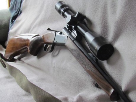 Hola,

Vendo rifle monotiro brno effect en calibre 7x57R, con pelo frances. Monturas appel originales 01