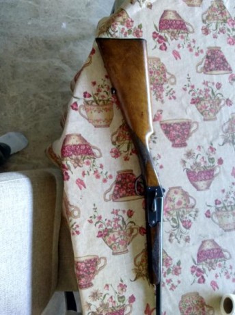 Cambio monitorio del 410 de la marca mondial por rifle de avancarga a ser posible de chispa. Se encuentra 12