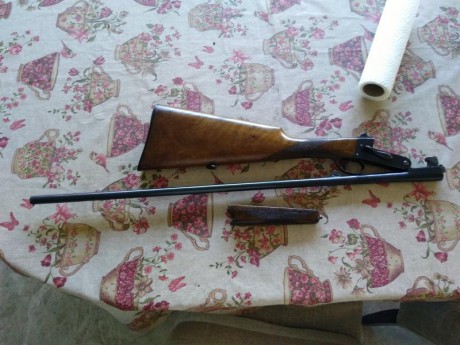 Cambio monitorio del 410 de la marca mondial por rifle de avancarga a ser posible de chispa. Se encuentra 10