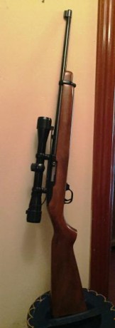 Hola a todos,
Vendo rifle RUGER calibre 22 con la mira que aparece en las fotos (Madrid). Precio 380eur.

Saludos.
 02