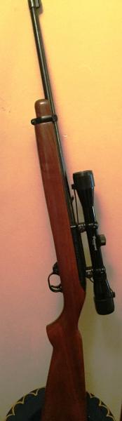 Hola a todos,
Vendo rifle RUGER calibre 22 con la mira que aparece en las fotos (Madrid). Precio 380eur.

Saludos.
 01
