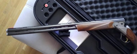 Vendo Fabarm Axis Sporting, buen estado
76 cm de cañón, maletín y choques originales
Está en Salamanca
750 02