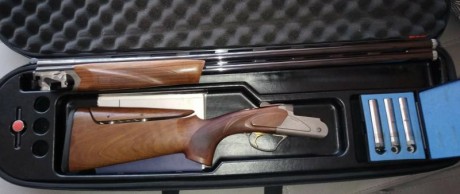 Vendo Fabarm Axis Sporting, buen estado
76 cm de cañón, maletín y choques originales
Está en Salamanca
750 00