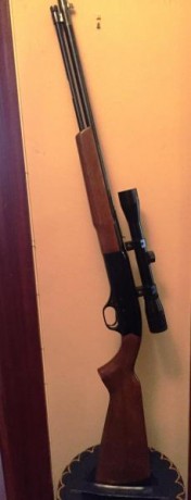 Buenas a todos,
Vendo WINCHESTER calibre 22 en perfecto estado con la mira que aparece en la foto (Madrid). 02