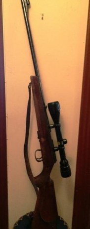 Hola,
Vendo rifle Anschutz con cerrojo calibre 22 en buen estado en Madrid. La madera tiene algunos toques 01