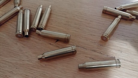 Hola a todos,

Vendo 74 vainas de este calibre de diferentes marcas
- 19 de Norma
- 15 de R-P
- 22 ANY 01