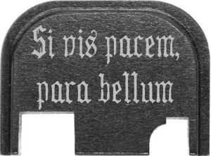 Buenas noches
Tengo una Glock 26 de 3a generación, y me estoy planteando personalizarla un poco. Mi idea 00