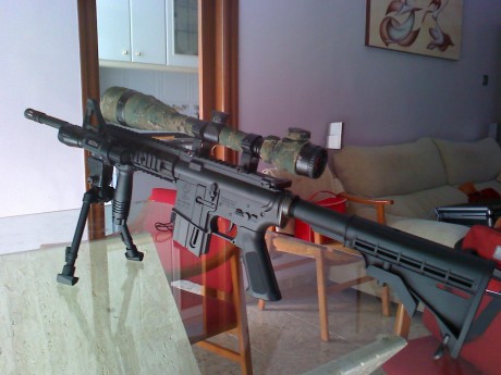 hola
 no se si habeis visto los nuevos M4 del calibre 22lr yo estoy interesado en ellos pero no se que 141